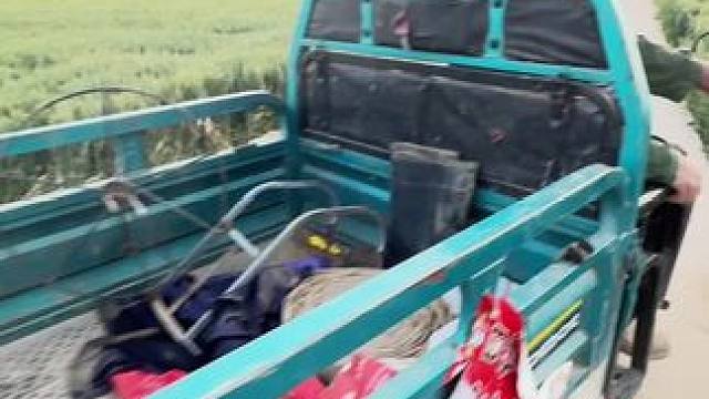 三大爷说“沫东河水抽干了“鱼乱潮头”，
我瞄了一眼老妈，大爷快回家提 #乡间田野  #绿油油的麦田 