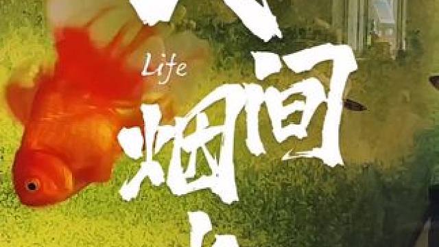 其实，每条鱼都有自己的水域，
不必追逐别人的洋流，
不必为别人的目光改变游动的方向。
#鱼 #金鱼 