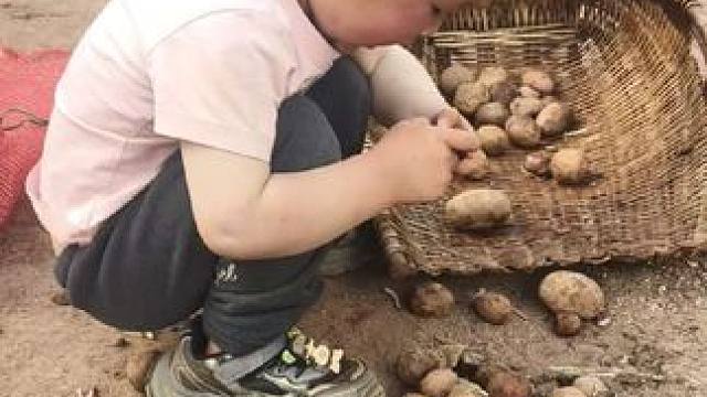 小双今天挺勤快的。#体验生活