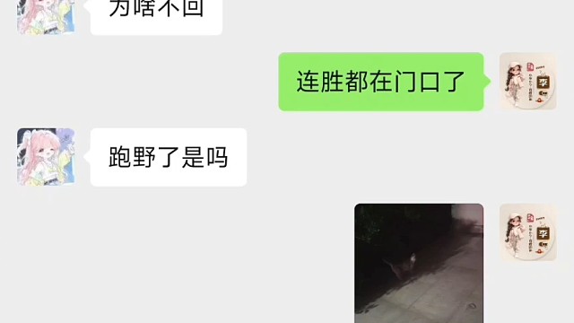 欢迎离家出走抛弃我半个月的犟种们回家