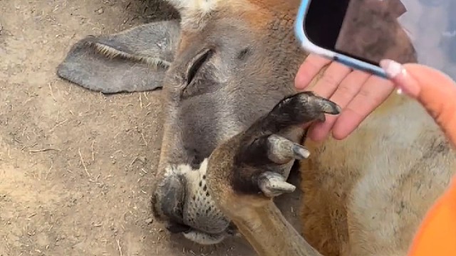 刚子：差不多行了啊