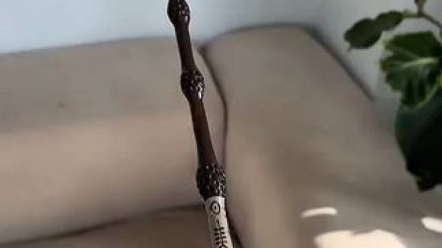 没有男生会拒绝这么酷的魔杖吧~ #有男生会拒绝这个玩具吗  #酷炫