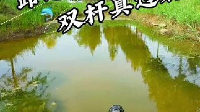 路边小坑全是宝 #户外#抓鱼视频#户外抓鱼#抓鱼#抽水抓鱼