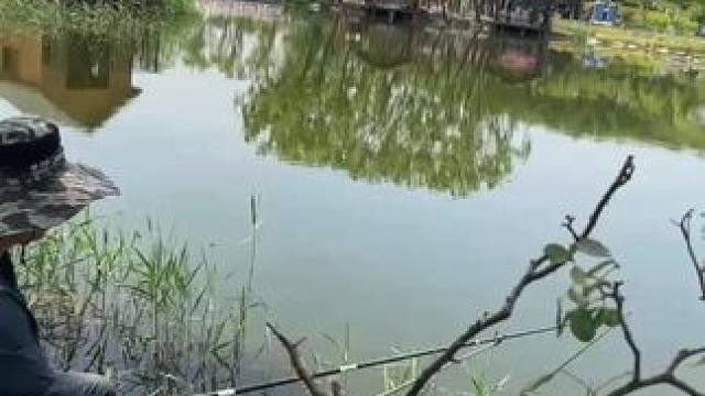 大自然的环境真是好，身心愉悦保守估计20斤+。明天上班。#爱钓鱼