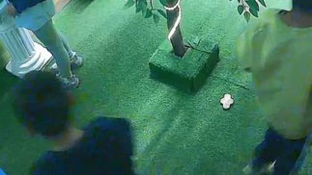 #密室逃脱 #小伙伴们欢乐多 #守护家园