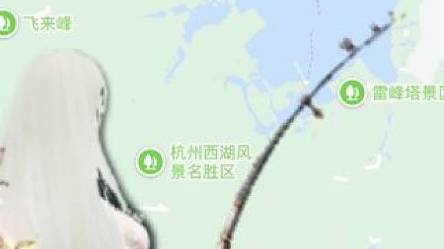 西湖钓了一只鲨鱼，放生到大海吧。