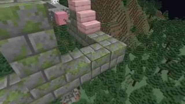 #我的世界 #Minecraft