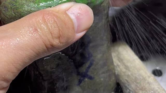 分享莫亮亮开窗过程