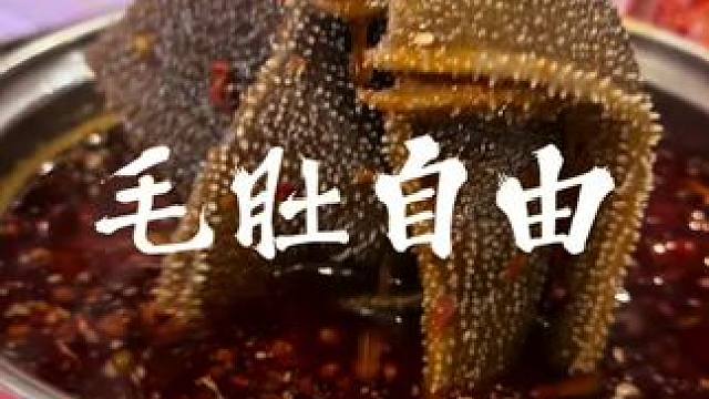 一百出头锅圈又请你吃火锅露营大餐了#有锅圈永远毛肚自由 #在家吃锅圈不止省一半 #当大脸毛肚走进我的