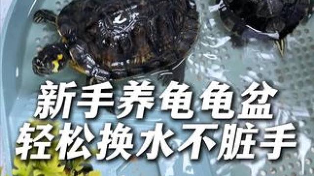 再也不用给龟盆换水发愁了，轻轻一提，脏水就流下去了！ 作为一个养龟新手，这个乌龟盆让我和我家小乌龟都