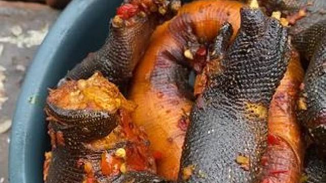 非洲美食 #我的农村生活 #东南亚矮子 #新农人计划 #陷阱装置 #东南亚大叔