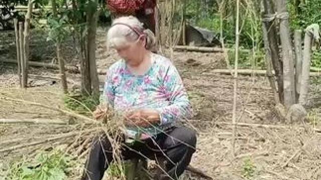 我发布了一个新视频，快来围观吧！