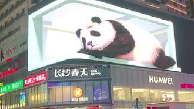 我发布了一个新视频，快来围观吧！