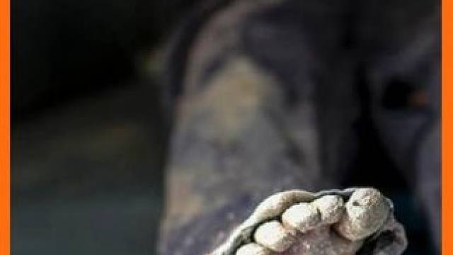 尸检是如何进行的？#科普