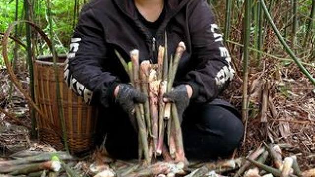 去山里拔了一大堆竹笋做个美味下饭菜 #美食 #农村生活 #美食分享