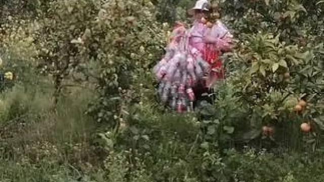 我发布了一个新视频，快来围观吧！