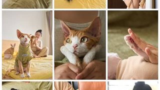 这是我最近最爱的一组拍摄。
原以为这是一次在普通不过的上门猫咪拍摄
因为小姐姐说家里没什么装修 ，很