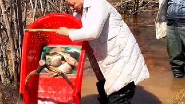 #捕鱼达人 #浑水摸鱼