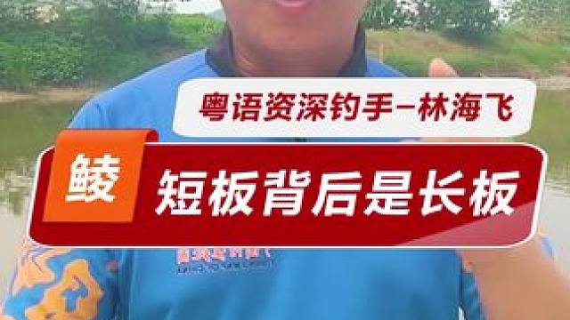 一号和二号的区别2 鲮鱼一号就是钓大的，水里既有大土鲮也有小土鲮，加它上的鱼鬼大些，但数量未必多#钓