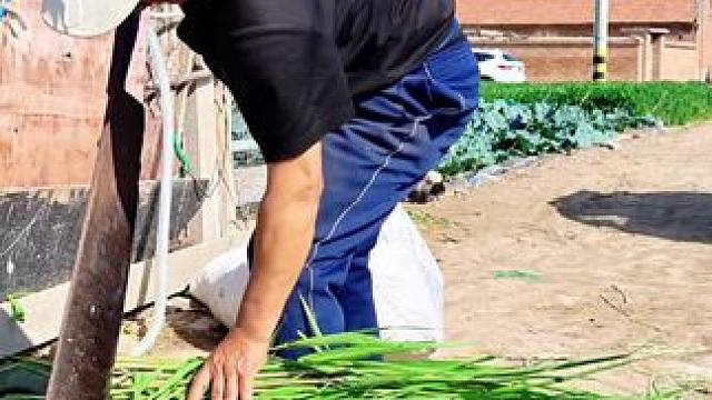 #农村生活 #村里那些事 #寿光之行（8）马家庄村的老王，由于三任媳妇都离开了他，（有的是他不要了）