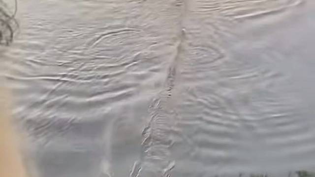 #户外捕鱼 #丝网捕鱼 #真实户外 #河边随拍