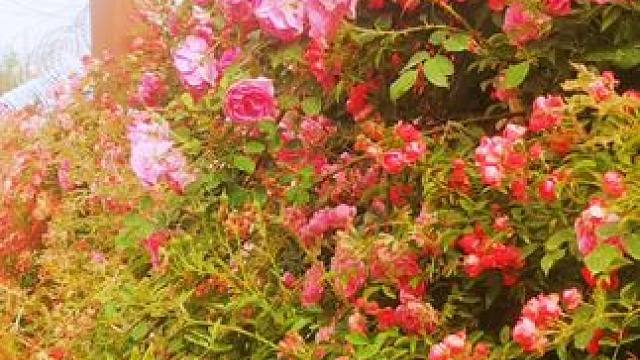 #愿一切美好如约而至