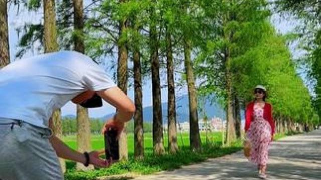 初夏的林荫小道这样拍太美了，简单易学又好看#拍摄技巧 #治愈系风景 #林荫小道 #手机运镜