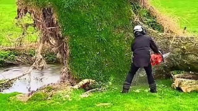 我发布了一个新视频，快来围观吧！