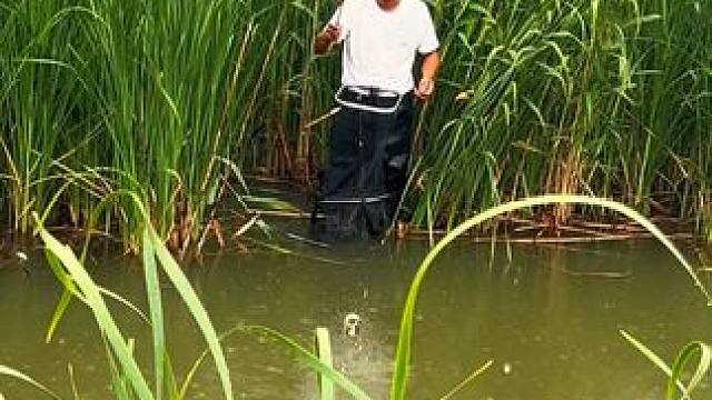 知道钓鱼的乐趣在哪里吗？#钓鱼人就是这么疯狂 #钓鱼的乐趣只有钓鱼人懂 #原