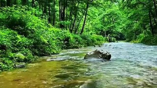 “以简单的心，走自己的路，看自己的风景，过自己的生活。不羡慕也不嫉妒，不攀比也不强求，人生的路要不慌