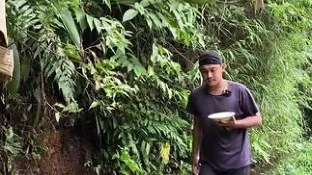 东南亚野菜哥 #原始森林 #异国他乡的生活 #我的农村生活 #乡村新农人 #热带水果