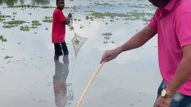 户外野餐 #户外美食 #新农人计划 #异国他乡的生活 #我的乡村生活 #海边生活