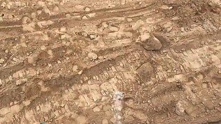 成功把我逗笑了[贊]