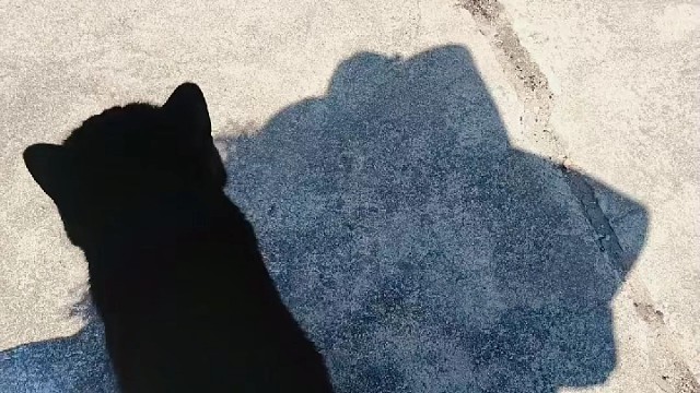 幸福多少钱超过4块钱我就要买蜜雪冰城了