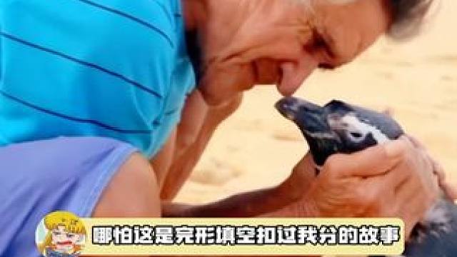 原来漂洋过海过海来看你真的存在 #企鹅 #温馨