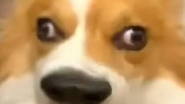 这就是恨比爱长久吗？ #时代峰峻  #助理  #抽象