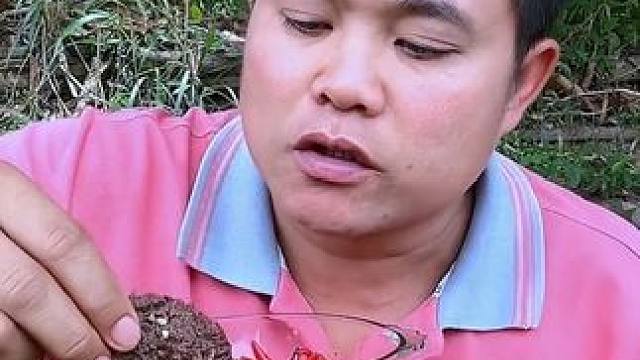 小泰椒️清炖牛胎盘 #泰国大叔 #泰国生活 #泰国美食 #内容启发搜索 #泰国主播吃美食视频