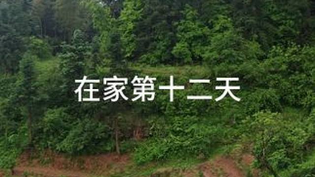 在家第二天，今天家里杀了一直鸭子喝了一碗米酒。#我的乡村生活 #我的vlog