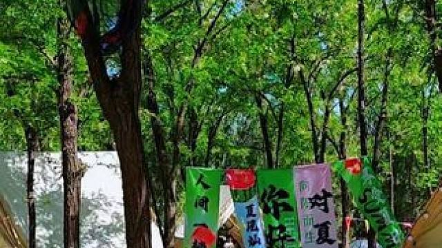 生活应该是被热爱的人和事填满，来房车园和热爱的人共享一段美好的时光！#露营 #踏青好去处 #童话森林