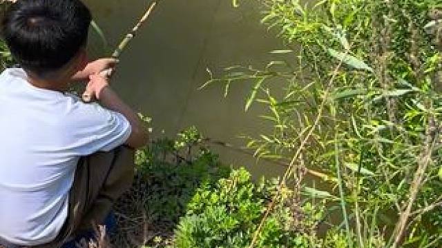 高手在钓鱼进阶的路上！#钓鱼人就是这么疯狂 #钓