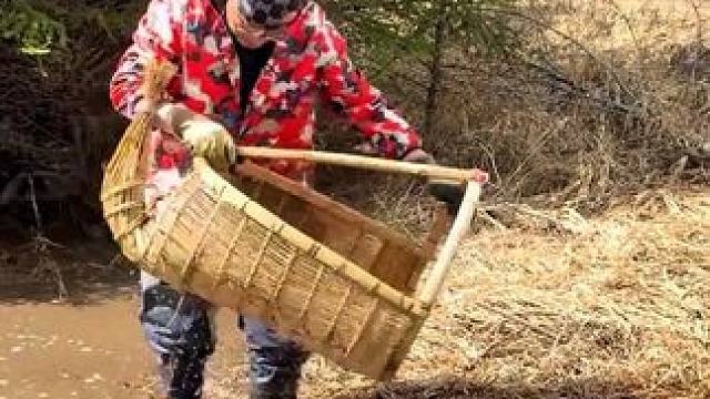 #大鲤子鱼来了 #好大一条鱼