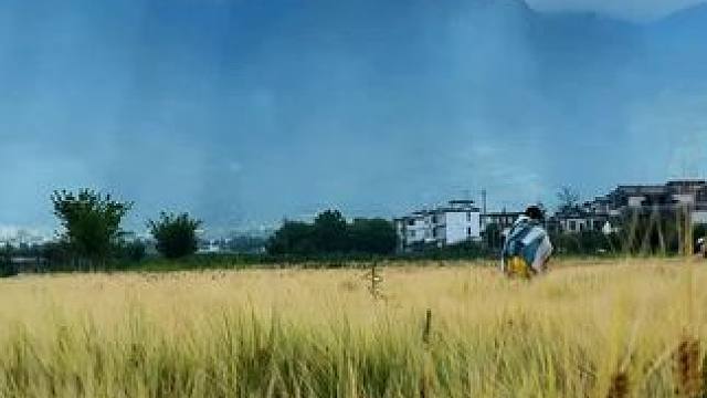 #大理 #洱海 #云南#旅行 #治愈系风景