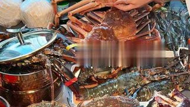 确实豪横，活波龙活澳龙松叶蟹畅吃