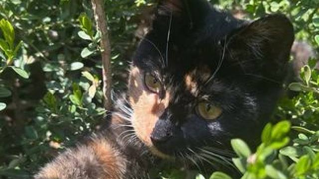 #春末的五月 #温暖的味道