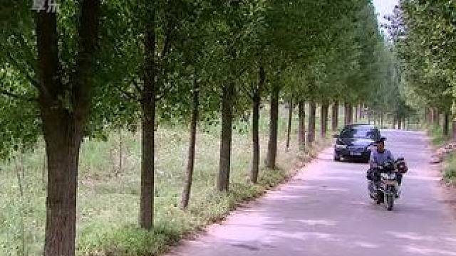 #西瓜视频 点击上方（红色按钮） 可看完整版 大结局太精彩了...《西瓜视频》，观看精彩后续《西瓜视