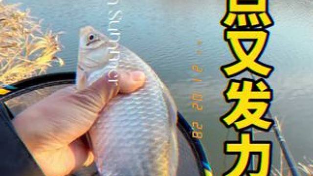 知道为什么钓鱼带头盔不