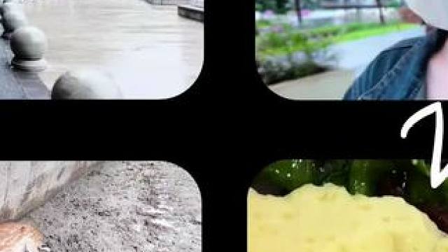 vlog｜动物园一日游 #动物园游玩vlog #vlog日常