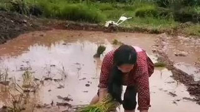 山卡卡里的农村大姐学费了开直播每天收获满满您还在恐播怕擂不敢开播开播了不知说什么吗#记录真实生活 #