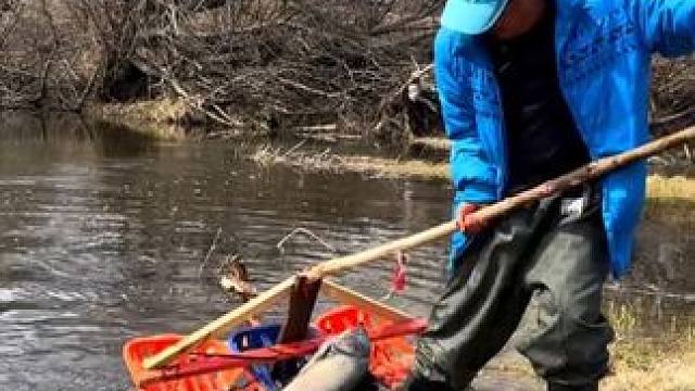 #撒网捕鱼 #好大一条鱼