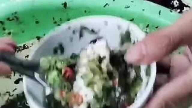 越南鱼生 #东南亚美食 #我的乡村生活 #乡村守护人 #内容启发搜索 #越南鱼生